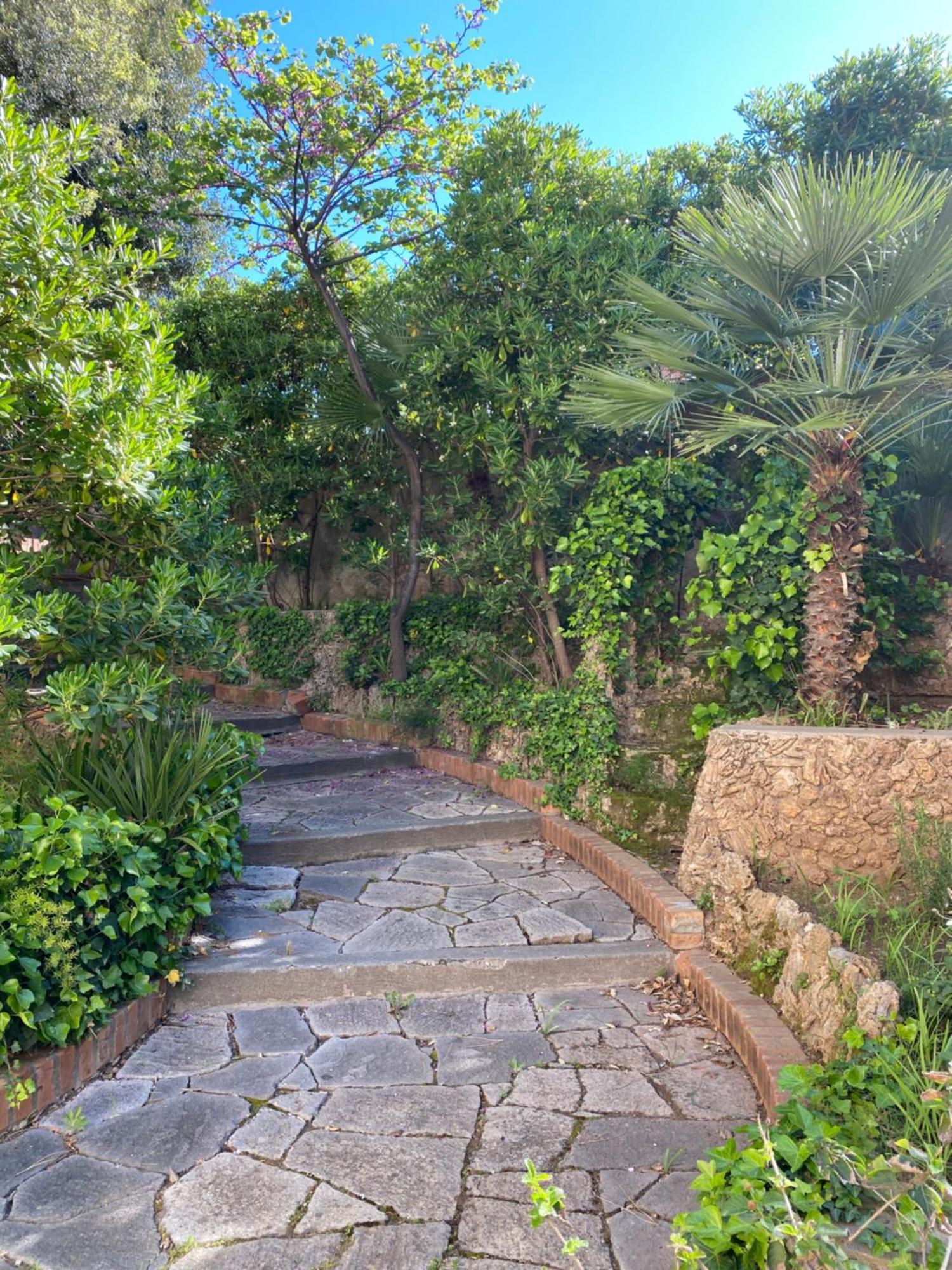 Villa Il Boschetto San Vincenzo Zewnętrze zdjęcie