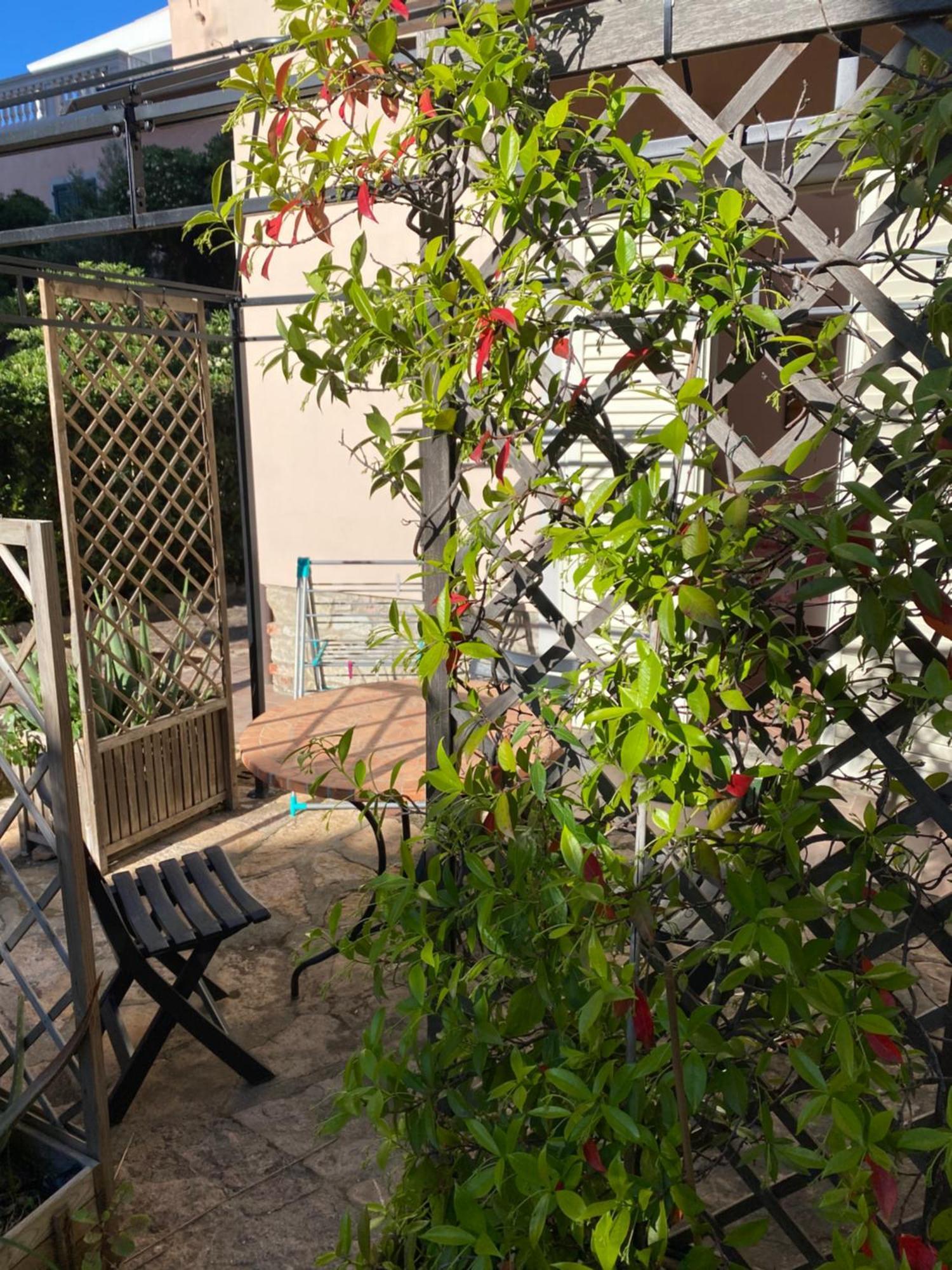 Villa Il Boschetto San Vincenzo Zewnętrze zdjęcie